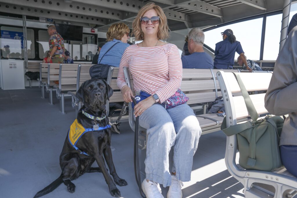 dog on ferry